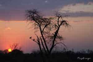 African-sunset-