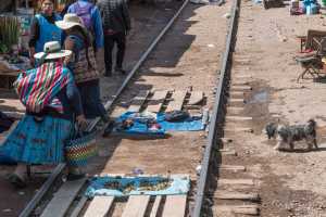 Titicaca-train-leaving-Puno-Peru-Restrup