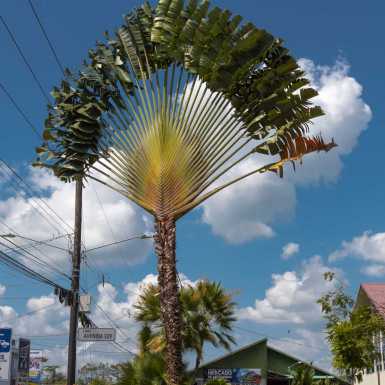 Costa-Rica, La Fortuna