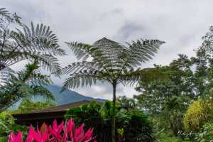 Costa-Rica-21-comp