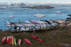 Kayaks Ilulissat
