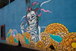 Mural street art Oaxaca Mexico 1/6