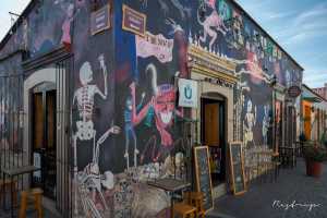 Mural street art Oaxaca Mexico 2/6