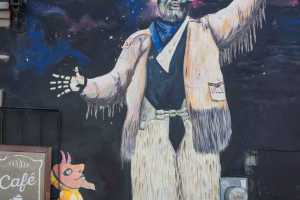 Mural street art Oaxaca Mexico 5/6