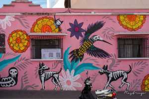 Mural street art Oaxaca Mexico 6/6
