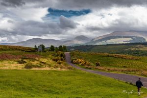 Spean Bridge hillside