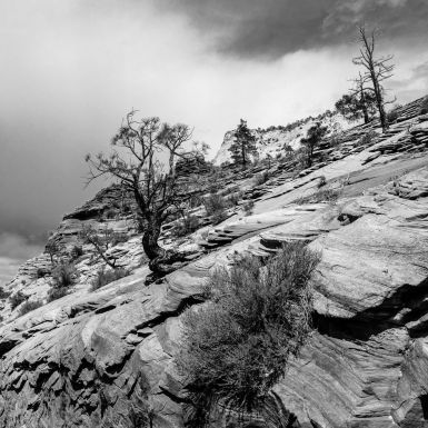 Zion National Park 1