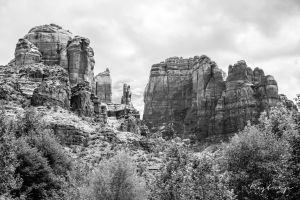 Ae_DSC2822