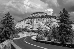 Zion National Park 3