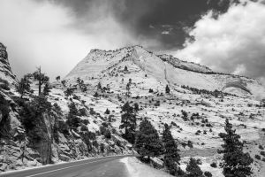 Zion National Park 4