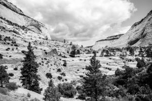 Zion National Park 2