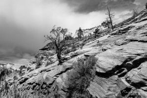 Zion National Park 1