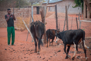 Faces-of-South-Africa-3