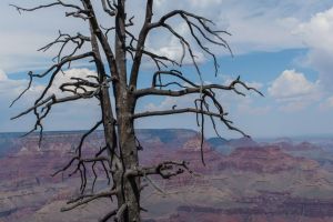 Grand Canyon 2