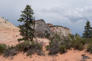 Zion Canyon 4