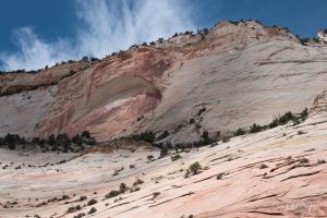 Zion Canyon 3